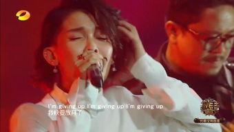 歌手爆料最新歌曲视频大全,最新歌曲视频大盘点，视听盛宴即将开启！